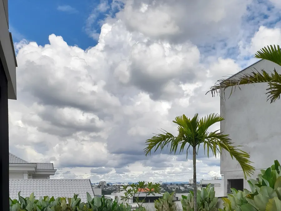 Terraza con vegetación tropical y vistas exteriores